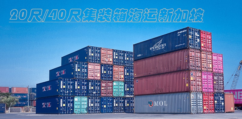 20ft 40ft container exported to Singapore