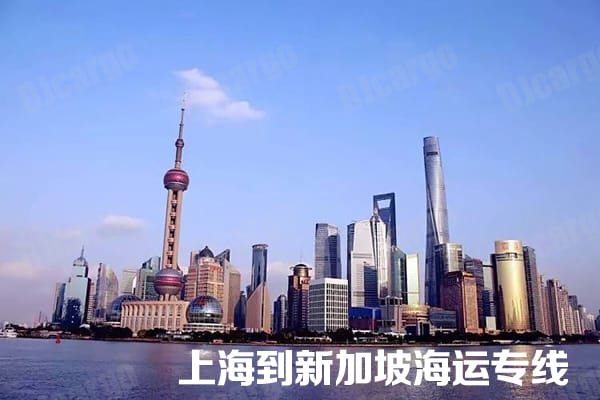 上海到新加坡专线海运整柜 FCL 运输服务
