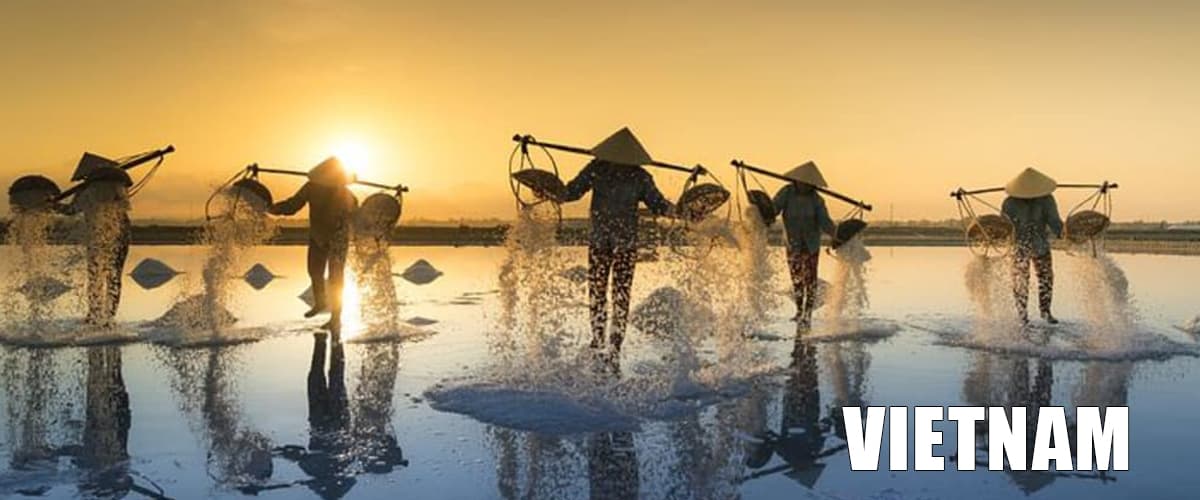 中国到越南Vietnam门到门物流运输