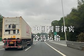 广州到菲律宾海运冷链物流