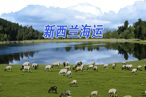 中国至新西兰