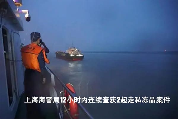 案值4000万！上海海警局12小时内连续查获2起走私冻品案件