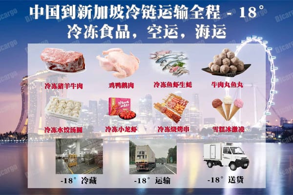 中国海运冷冻柜到新加坡，冷冻食品/冷冻生鲜寄到新加坡物流操作流程