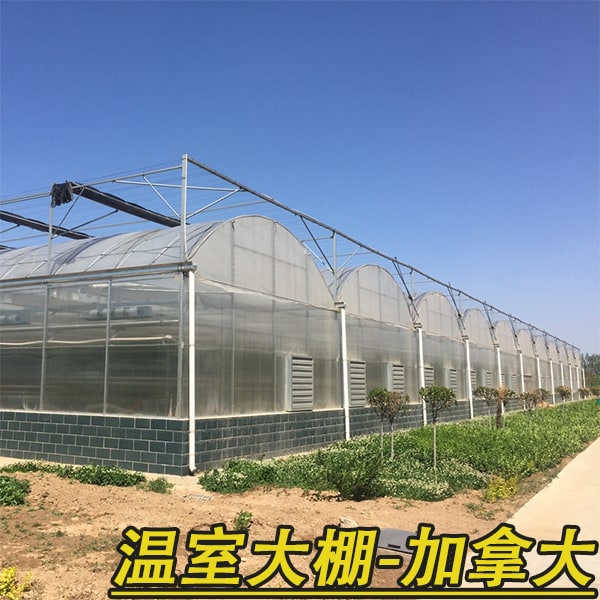 温室大棚，钢管大棚海运加拿大蒙特利尔优质物流服务-递接物流