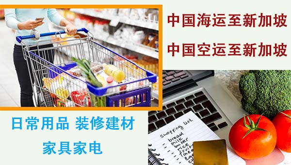 中国海运空运日常用品到新加坡 - 靠谱物流推荐
