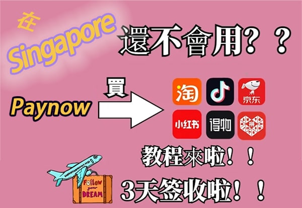 双十一来临！新加坡集运大降价，可新币支付，无手续费