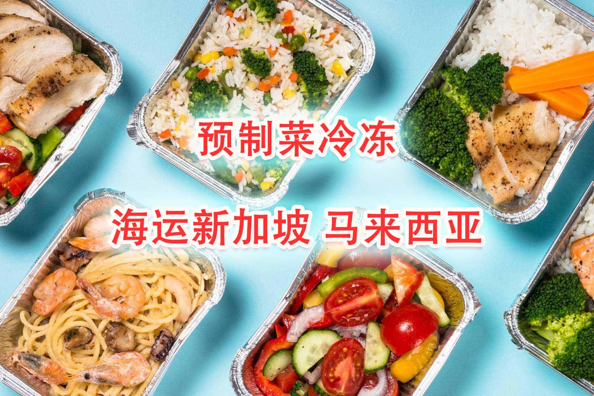 预制菜、冷冻食品、海鲜肉类海运冷链拼箱—新加坡马来西亚