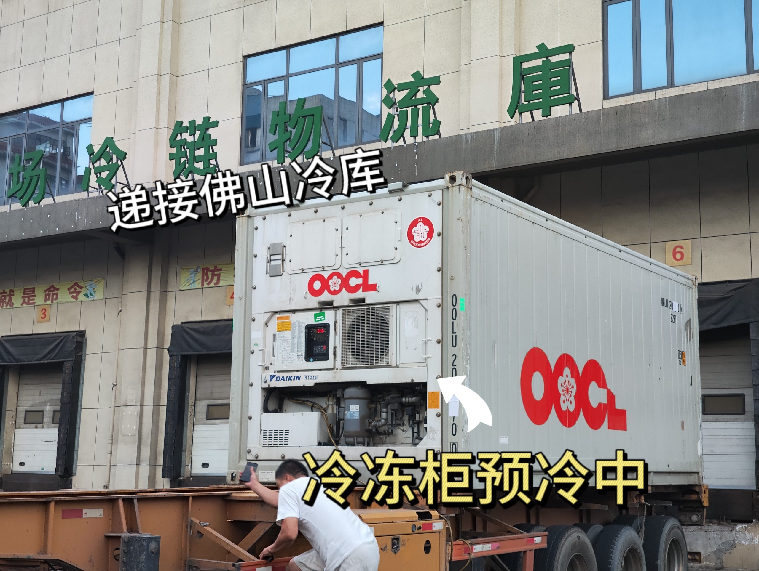 中国-新加坡海运冷链 冷冻食品,鸡鸭鱼,预制菜海运冷链服务
