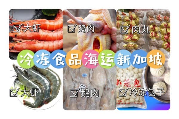 冷冻食品海运新加坡，空运新加坡，双清送货到家