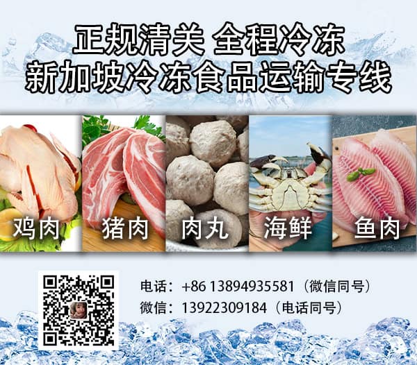 中国到新加坡冷链海运专线