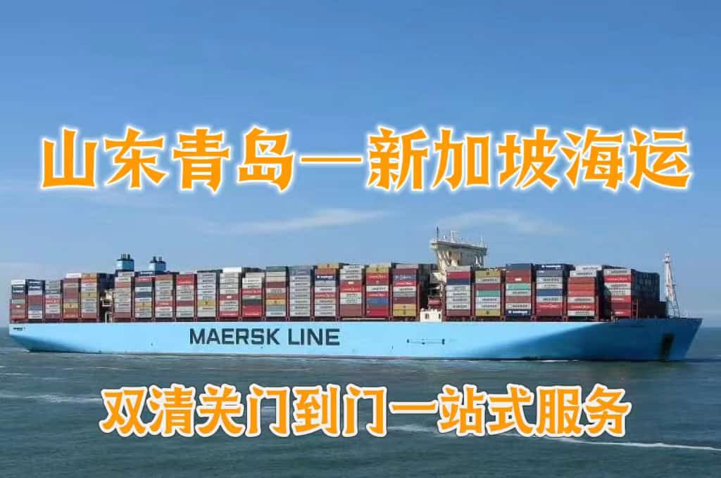 山东到新加坡海运门到门一站式服务