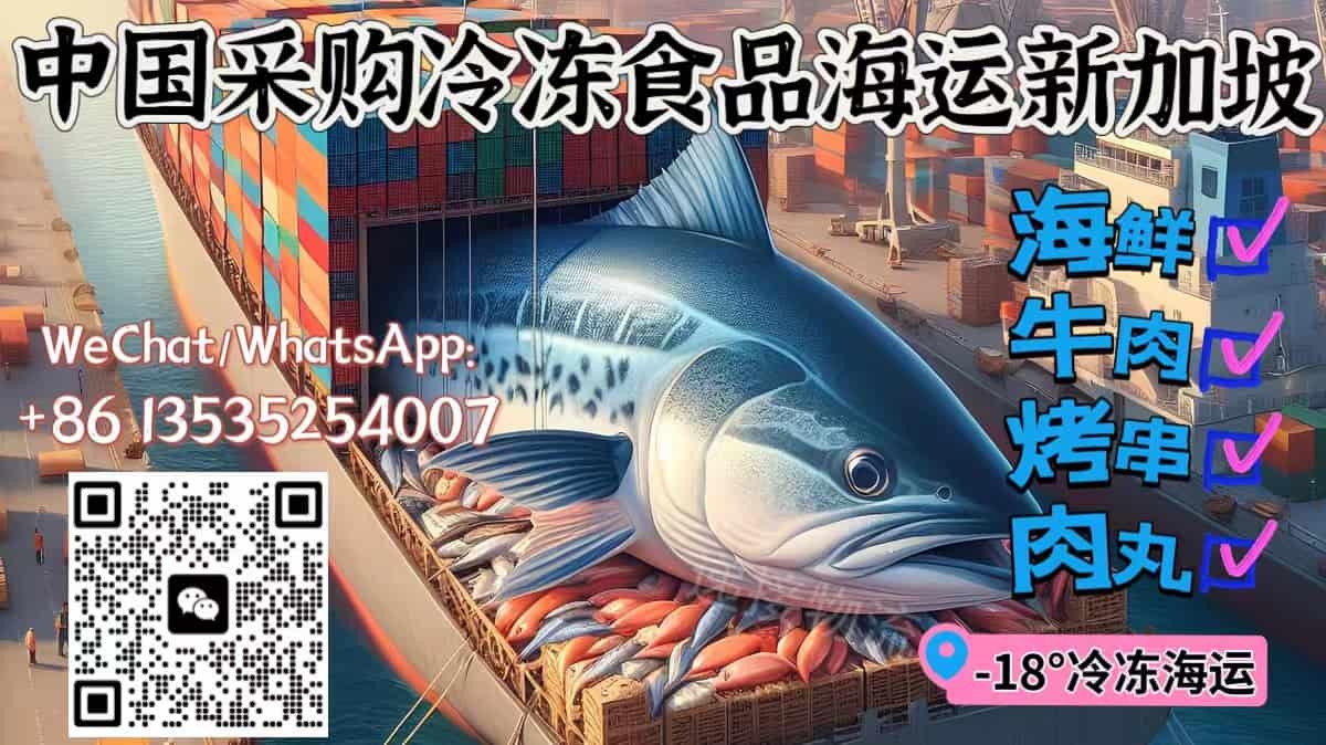 把家乡的味道带到新加坡：专业冷冻食品海运服务