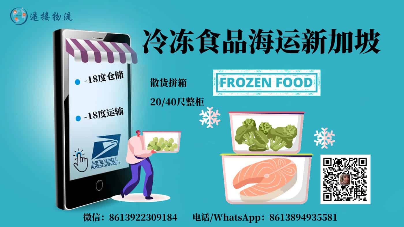 冷冻食品海运新加坡双清门到门