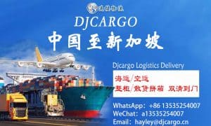 购物无忧：中国至新加坡专业物流服务，免费仓储等待您的货物