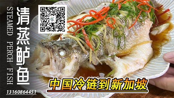 新加坡海运清关