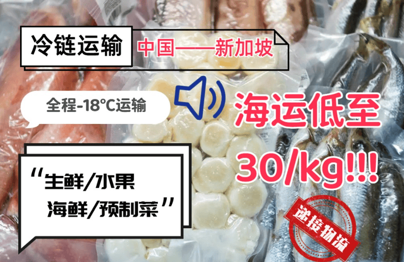 冷冻食品出口新加坡双清专线