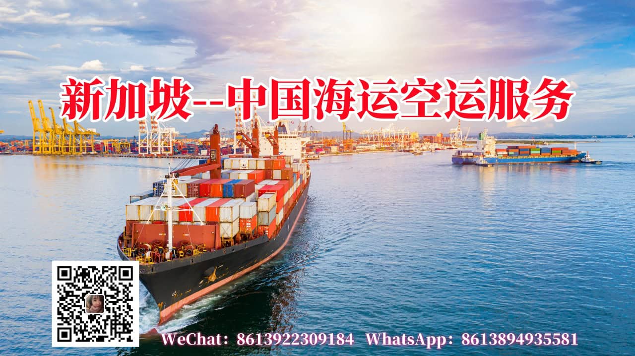新加坡直邮中国海运空运服务