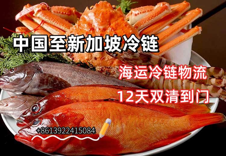鱼肉海鲜冷链海运