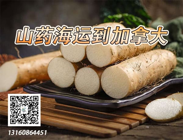 山药海运到加拿大