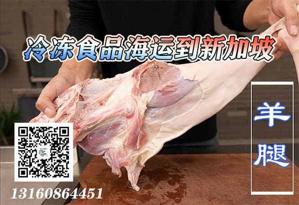 羊腿海运到新加坡
