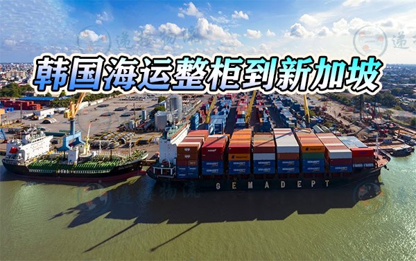 整柜海运到新加坡