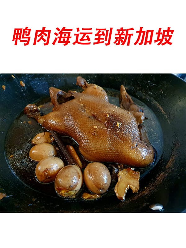 鸭肉海运到新加坡