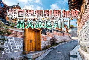 新加坡本地公司