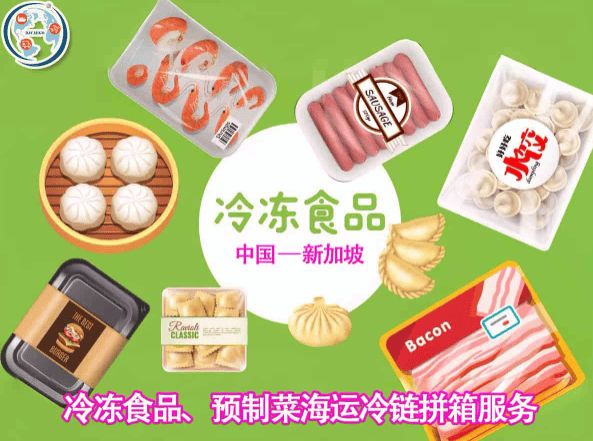 新加坡冷链海运门到门专线