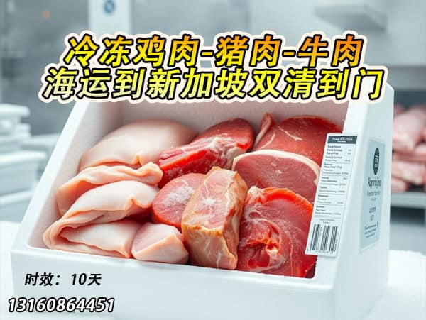 冷冻食品海运到新加坡