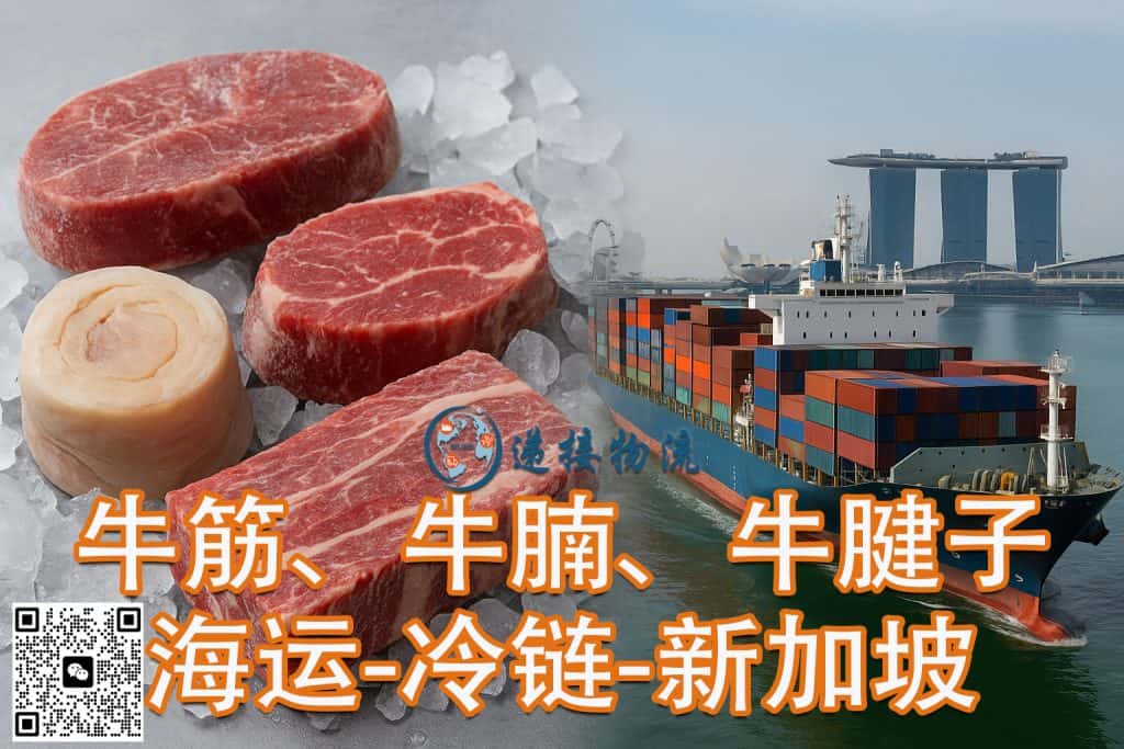中国冷冻食品牛筋、牛萝卜、牛腱子海运-冷链-新加坡