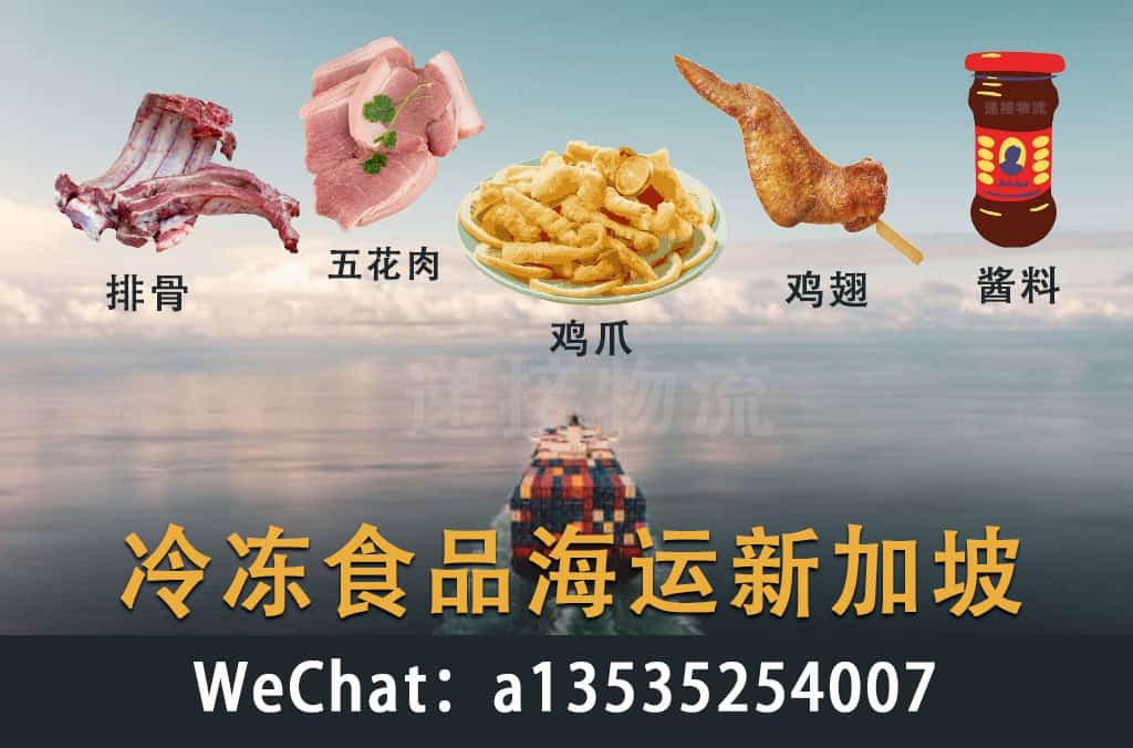 冷冻排骨、五花肉、鸡翅鸡脚、家乡自制酱料）海运新加坡-冷链-18度