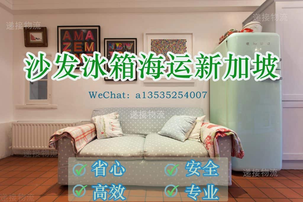 《刘女士的跨国运输体验：轻松搞定沙发和冰箱运新加坡！🚛📦》