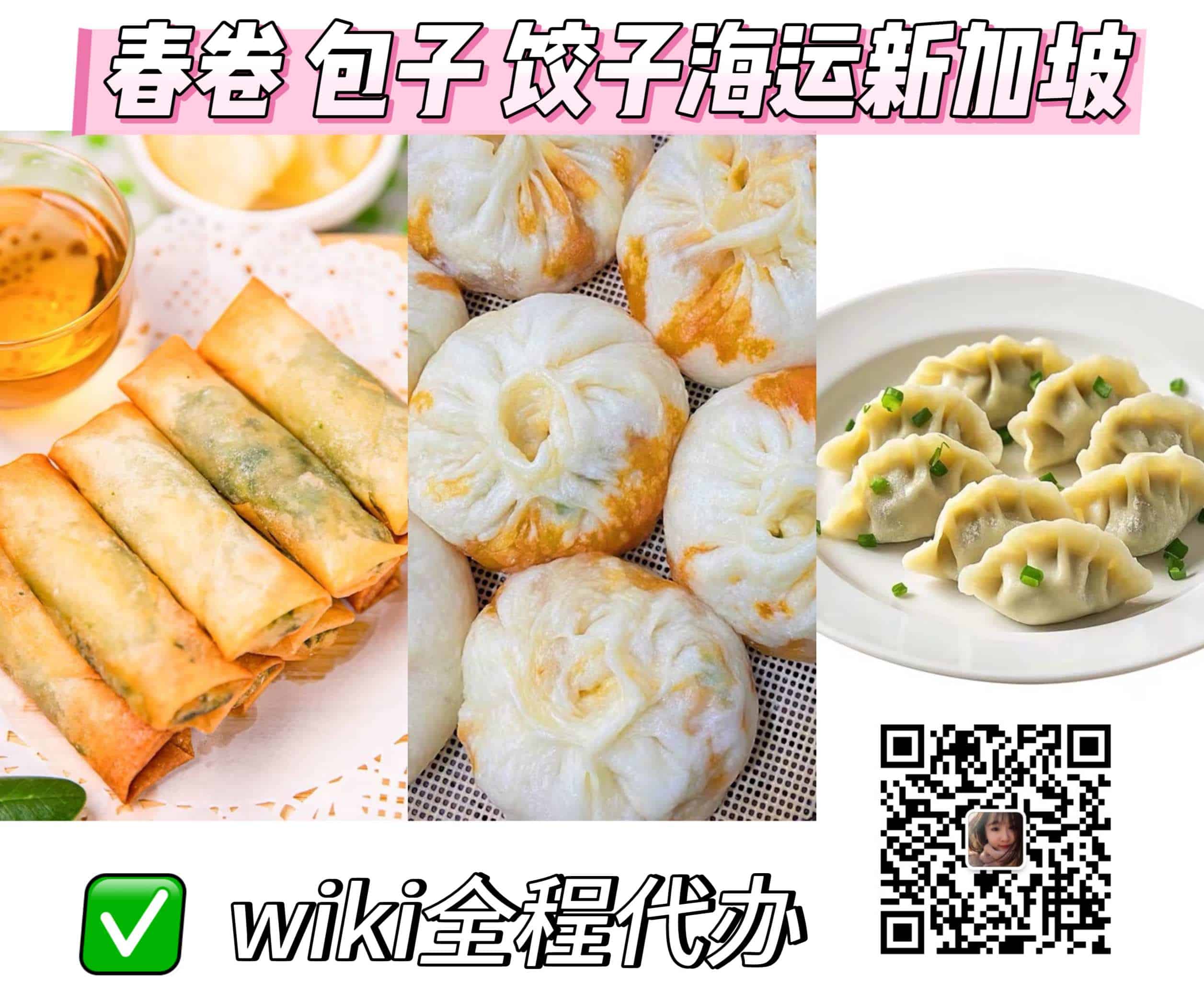 冷冻包子饺子春卷海运新加坡