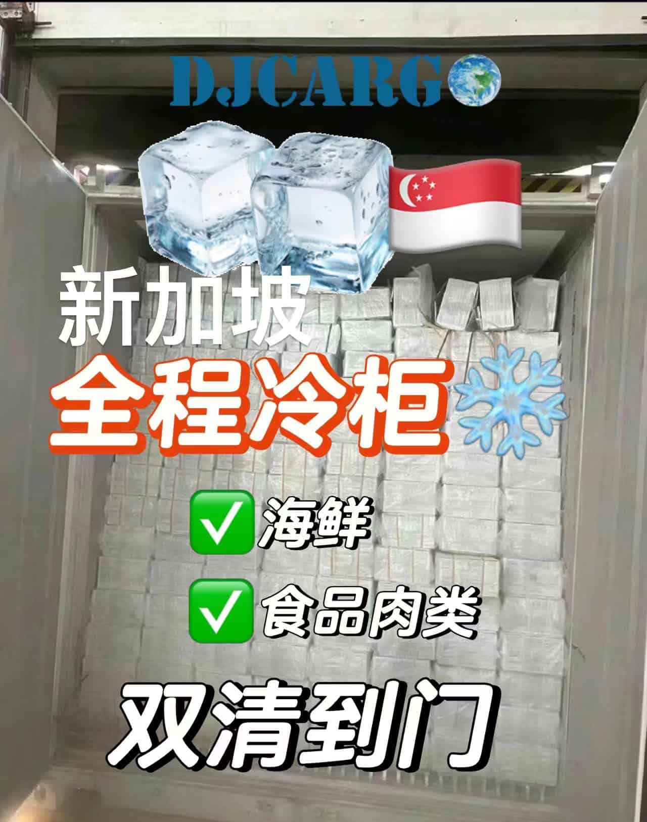 冷冻品海运新加坡门到门双清