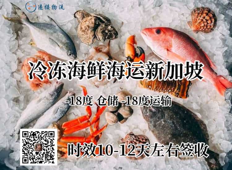 冷冻海鲜海运新加坡送货到门