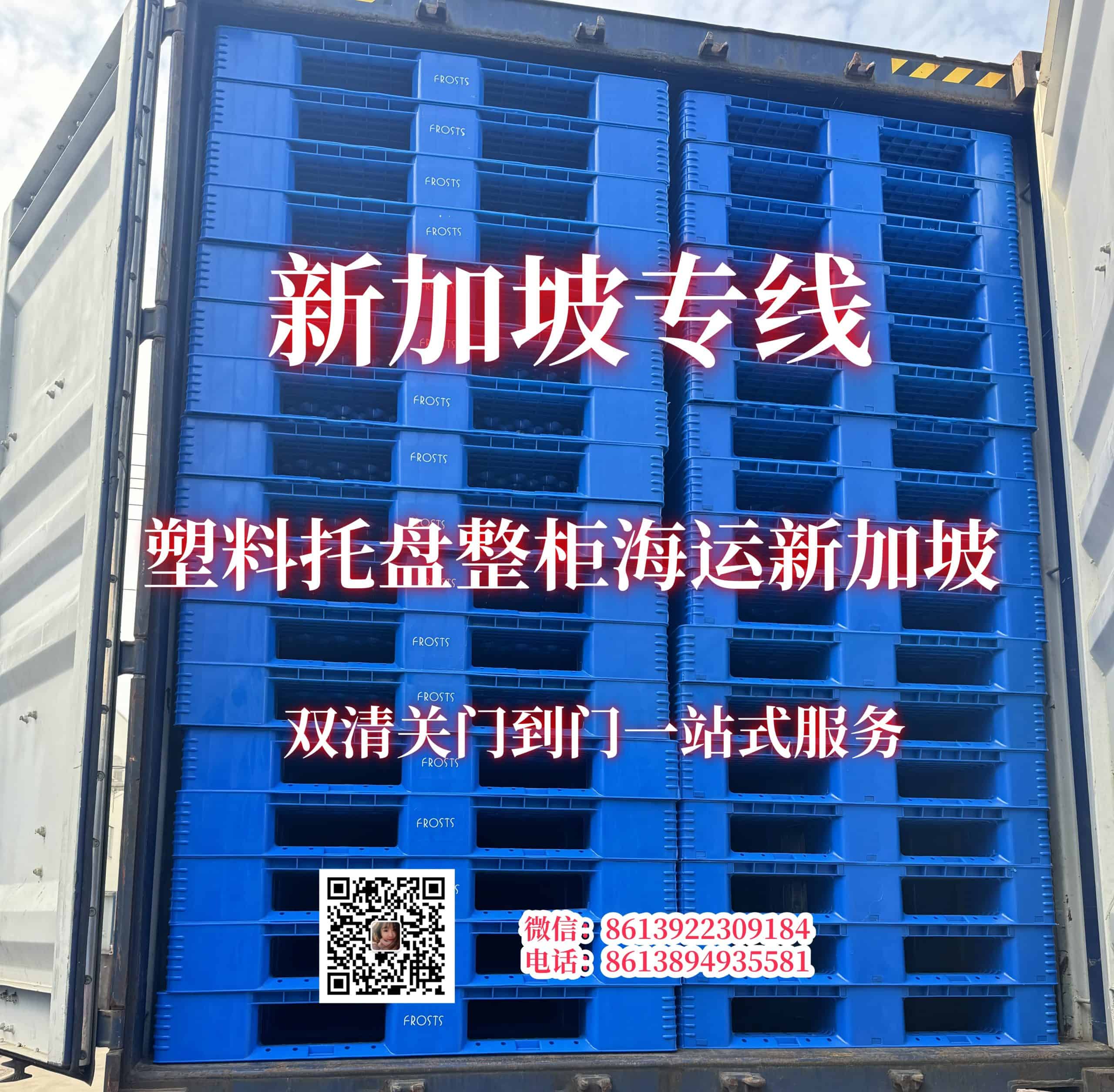 塑料托盘整柜海运新加坡