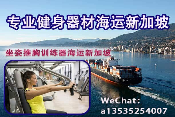 专业健身器材海运新加坡——坐姿推胸训练器无忧配送