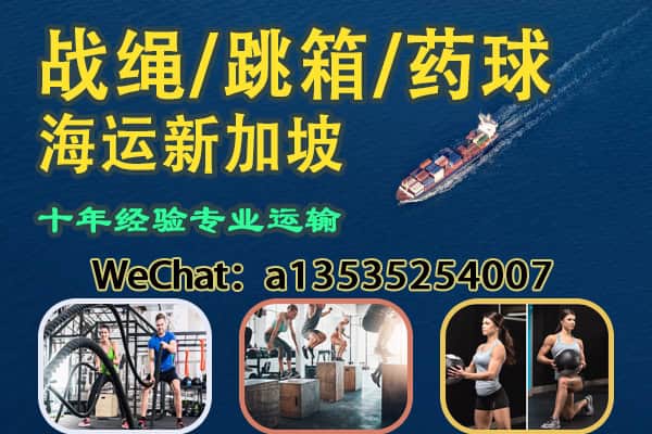 从中国发战绳、跳箱、药球海运到新加坡，广州递接物流专业又高效