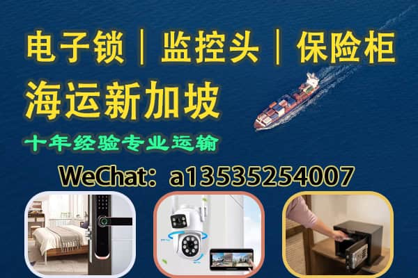 发往新加坡！电子锁｜监控头｜保险柜 海运包办，安全到家！