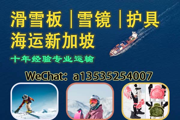 滑雪板、雪镜与护膝护臀防护装备海运至新加坡🎿