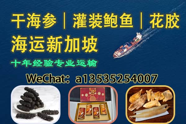 干海参｜灌装鲍鱼｜花胶海运新加坡专业运输双清到门