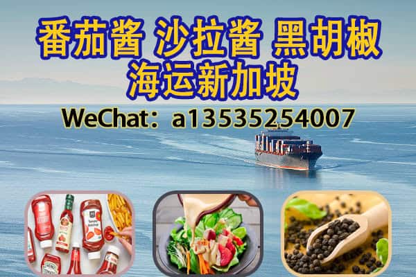 调味品出口新加坡｜番茄酱、沙拉酱、黑胡椒等海运直达