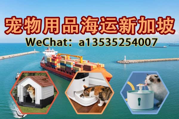宠物用品安全直达新加坡 | 专业海运狗屋、自动喂食器、智能饮水机