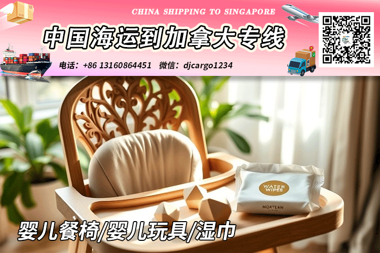 玩具海运到加拿大