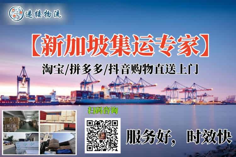 新加坡集运专家