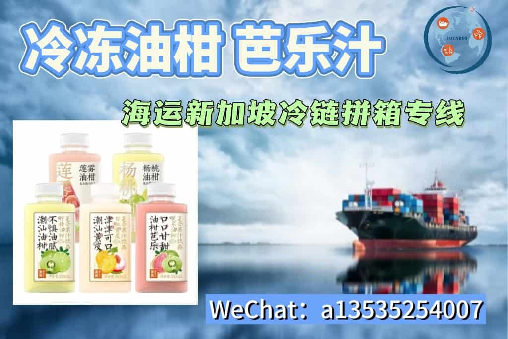 冷冻油柑汁,芭乐汁,淡奶油冷链海运到新加坡｜递接物流全程-18℃轻松送达
