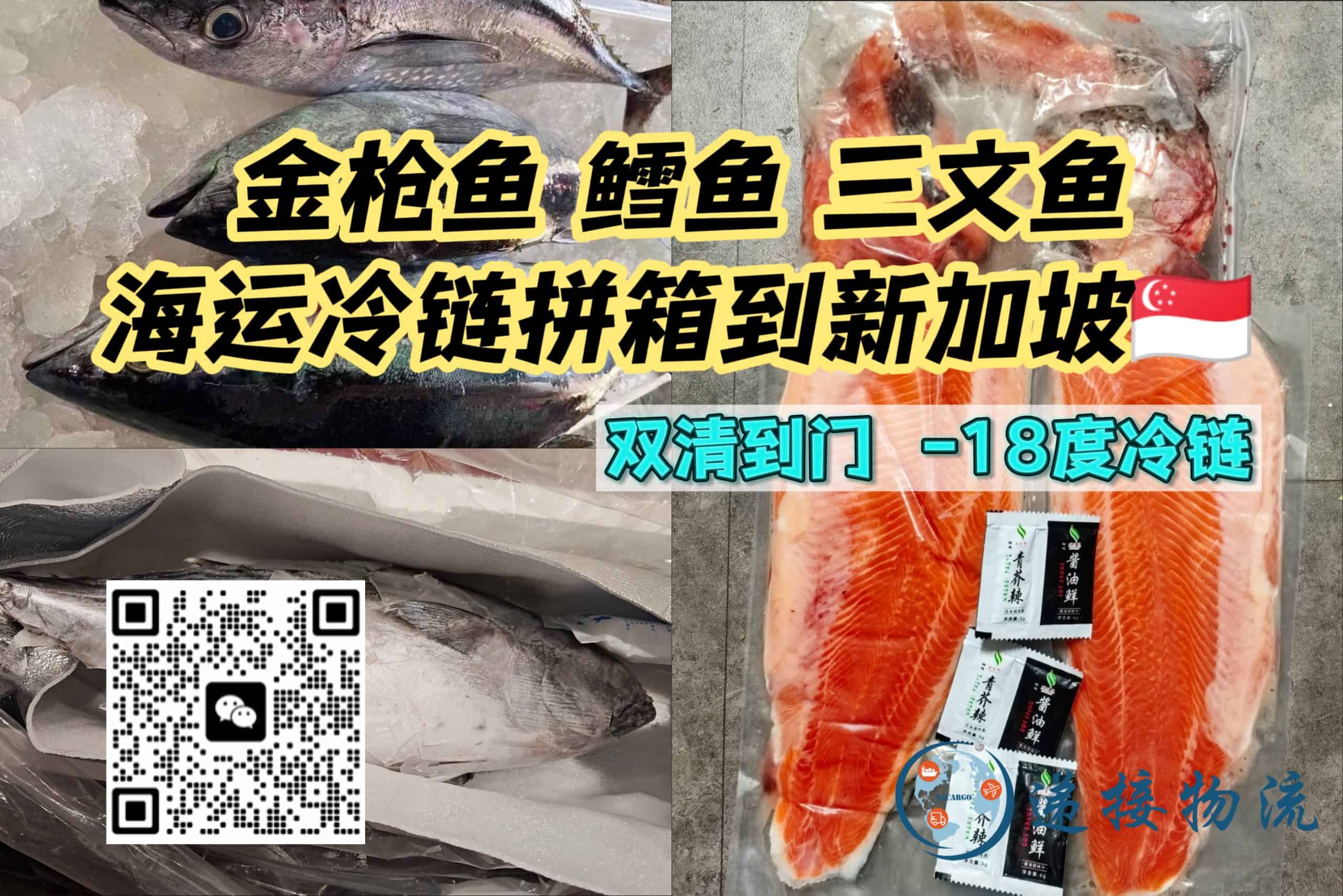 中国到新加坡冷链物流｜金枪鱼、鳕鱼、三文鱼运输服务推荐