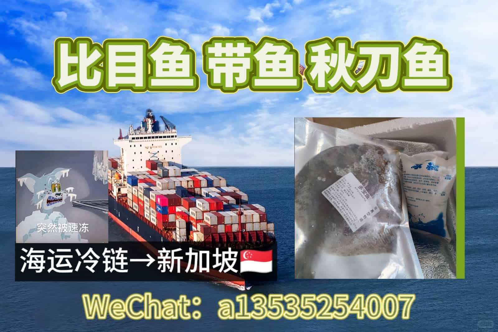 【比目鱼、带鱼、秋刀鱼】出口新加坡首选：专业冷链海运服务