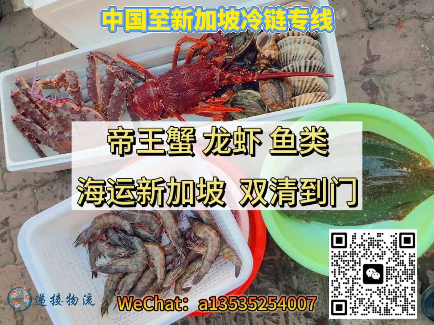 中国海鲜海运新加坡｜帝王蟹、龙虾、海参海胆及素食类一站式冷链运输