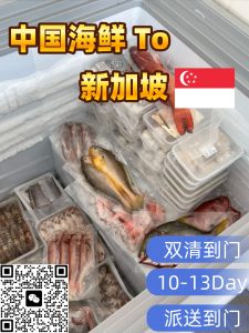 广东海鲜海运新加坡到门服务